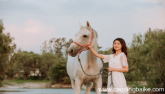 梦见马拴在院子里是什么意思 梦见马拴在院子里有什么预兆