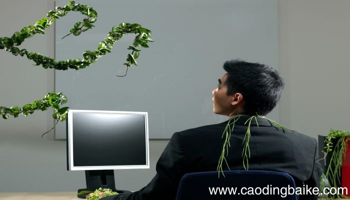 梦见猿人是什么意思 梦见猿人有什么预兆