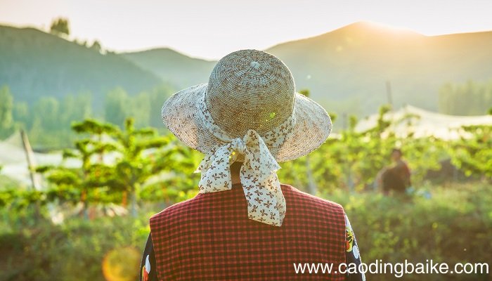 梦见已故妻子是什么意思 梦见已故妻子有什么预兆