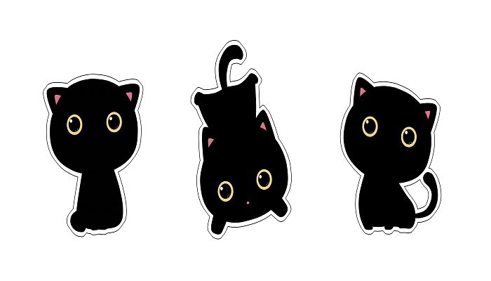梦见浑身是血的黑猫是什么意思 梦见浑身是血的黑猫有什么预兆