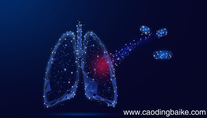梦见肺部是什么意思 梦见肺部有什么预兆