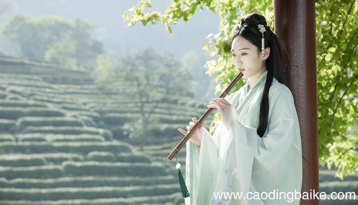 梦见口技表演者是什么意思 梦见口技表演者有什么征兆