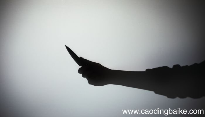梦见武林高手什么意思 梦见武林高手预示什么