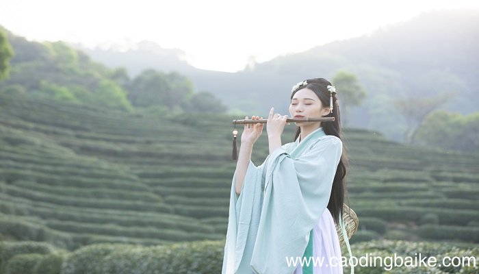 梦见业余爱好者是什么意思 梦见业余爱好者有什么预兆