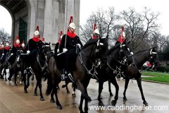 梦见仪仗队什么意思 梦见仪仗队预示什么