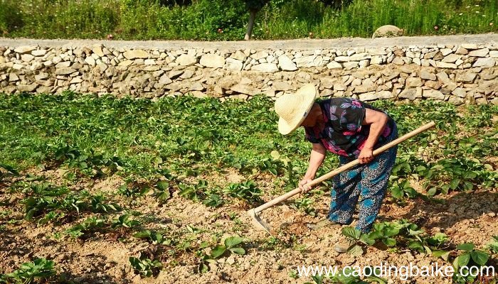 梦见死去的外公什么意思 梦见死去的外公预示什么