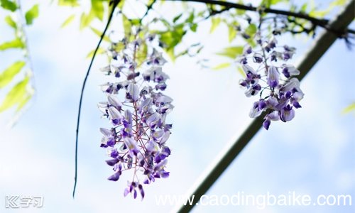 初中英语学习方法史上最全