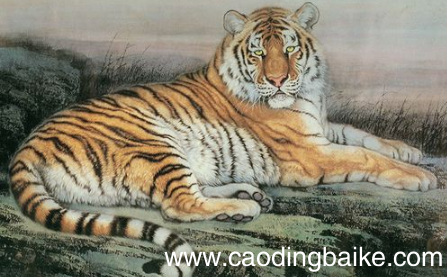 客厅挂老虎画好吗 老虎画适合挂哪里