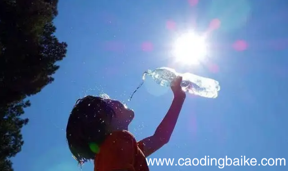 三伏天13点趴在地上晒背好吗 三伏天下午一点晒太阳好吗