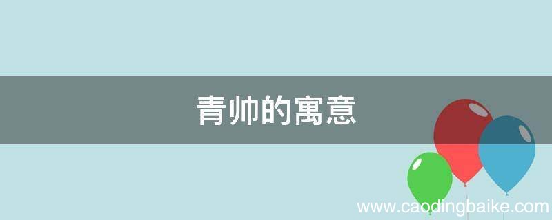 青帅的寓意