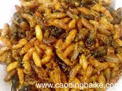 马蜂蛹怎么吃