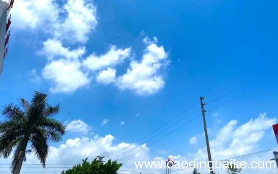 三伏天晒背的好处及作用和时间 三伏天晒背的正确方法