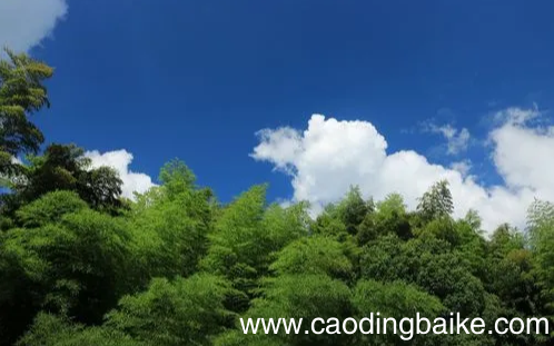 三伏天晒背的好处及作用和时间 三伏天晒背的正确方法