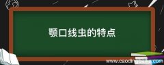 颚口线虫的特点