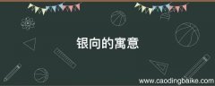 银向的寓意