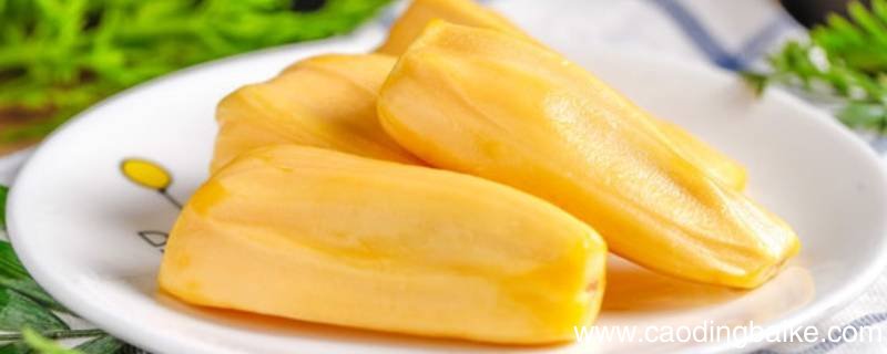菠萝蜜怎么削皮小窍门