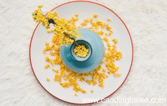 桂花怎么晒干保留香气和营养 新鲜桂花怎么晒干不变色