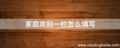 家庭类别一栏怎么填写