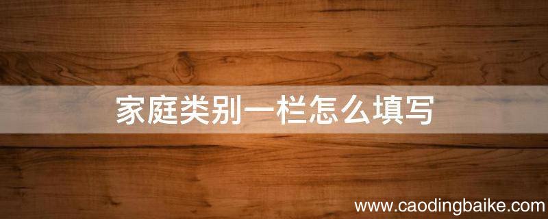 家庭类别一栏怎么填写