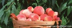 桃子怎么吃才好吃