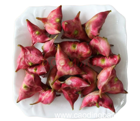 吃菱角能吃螃蟹吗 菱角和螃蟹能不能一起吃