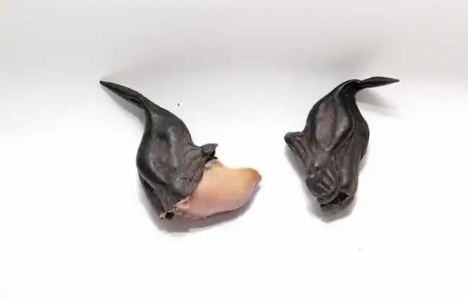 菱角用电饭煲煮的熟吗 电饭煲煮菱角怎么煮