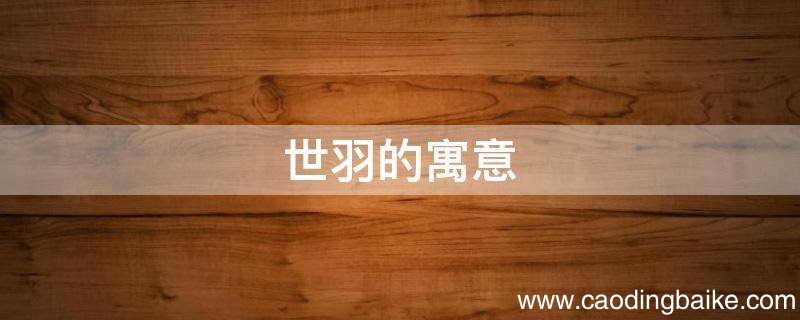 世羽的寓意