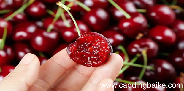 车厘子级别怎么划分