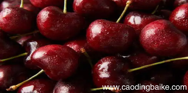 车厘子级别怎么划分