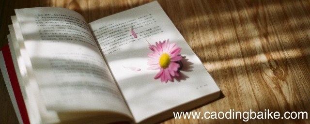 青苔怎么读 青苔读音