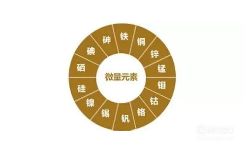 孕妇能喝银耳莲子汤