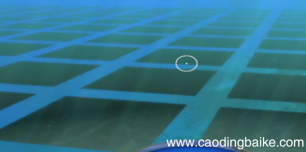 深海迷航怎么开控制台？怎么输入代码