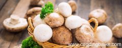 蘑菇饺子馅的做法 蘑菇饺子馅怎么做好吃