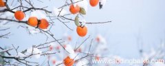 腊月二十四具体是什么日子 腊月二十四是什么日子