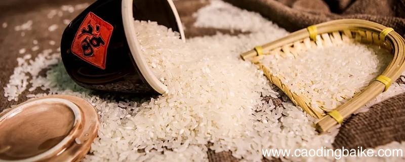 芡实和大米一起煮饭能熟么