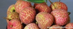 荔枝煎古代什么意思
