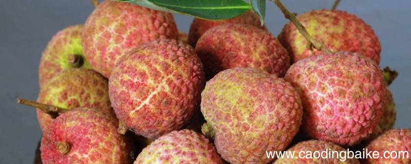 荔枝煎古代什么意思