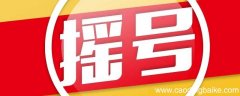 小汽车摇号审核通过后怎么摇号