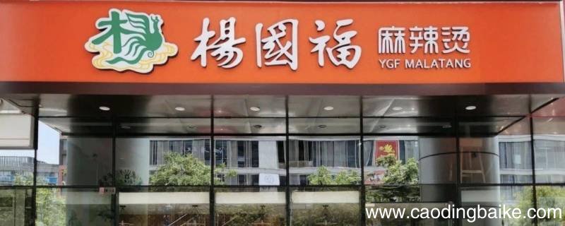 杨国福员工可以染头发吗