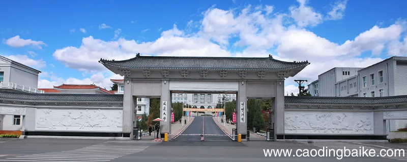 延边大学预科班参加高考吗
