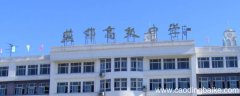 三河二中有特长生吗