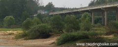 正阳县陡沟镇张湾村支书是谁