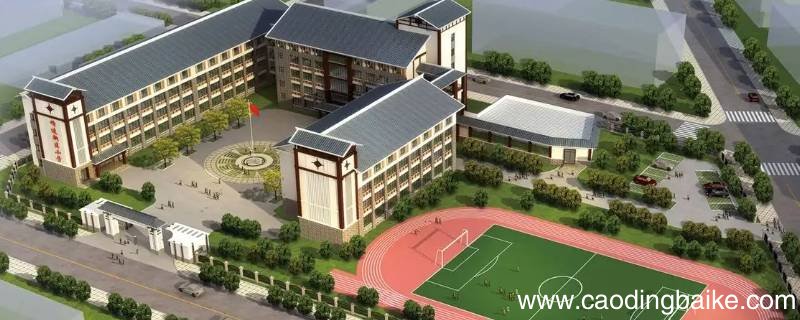 成都师上小学是公立还是私立