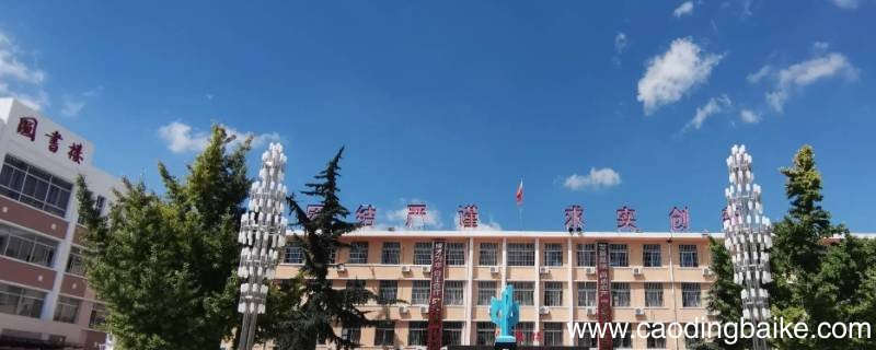 乾县二中2021高考一本上线率