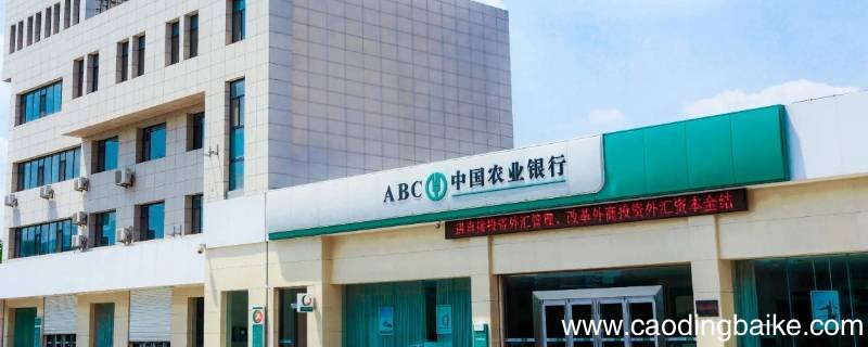 农业银行APP学生父母怎么改信息