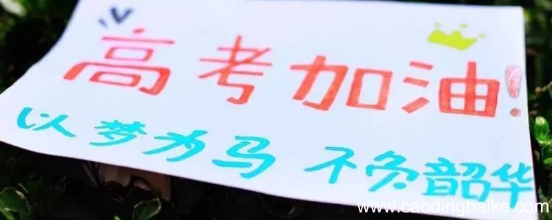 2020年高考503分排名多少