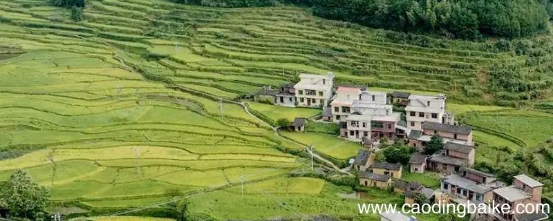 郴州为什么不发展良田镇