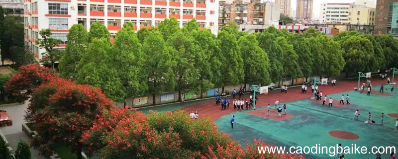 昆十二中环湖路校区升学率