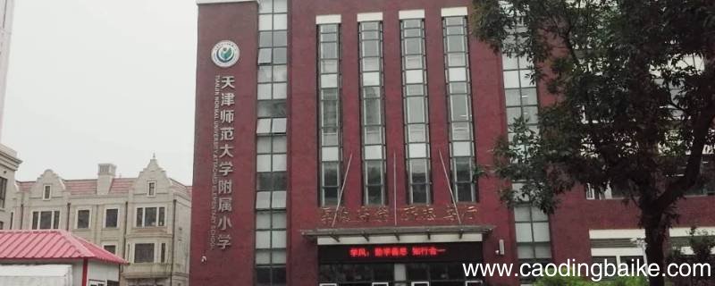 天津私立小学摇上号可以不去么