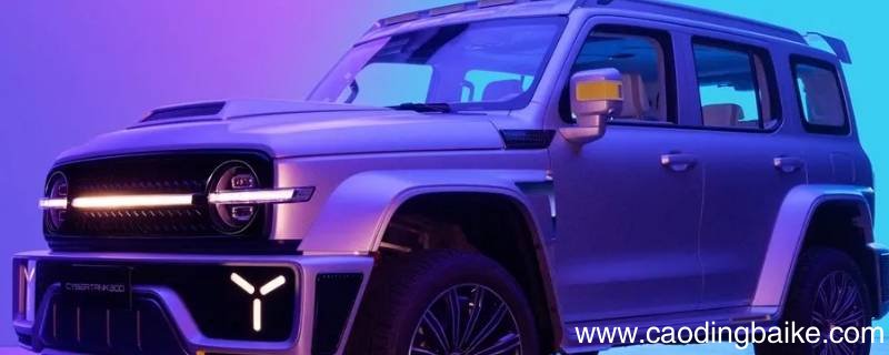 赛博300有牵引质量吗